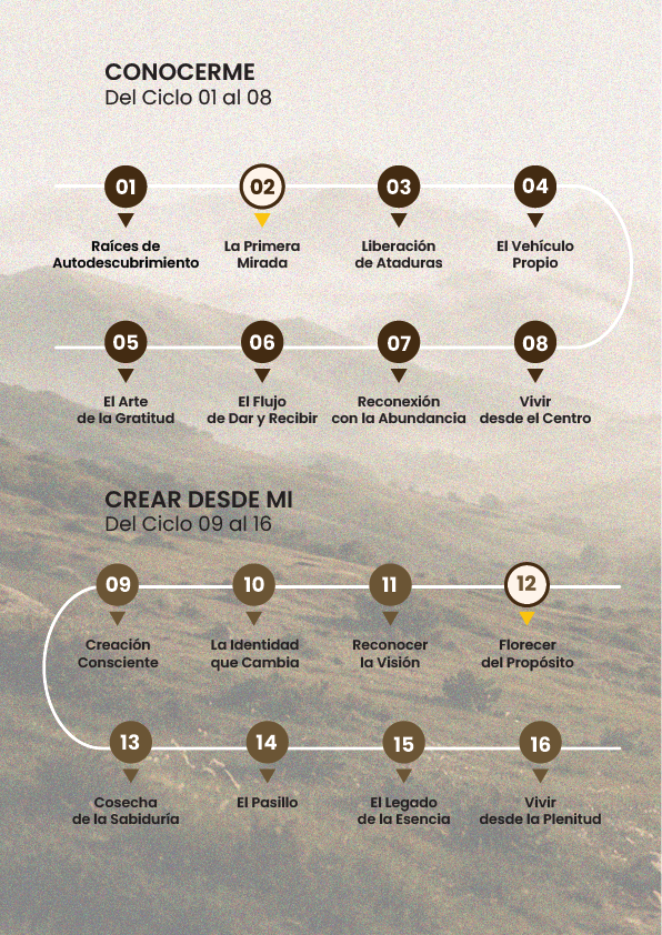 camino-movil-florecer-del-proposito-12